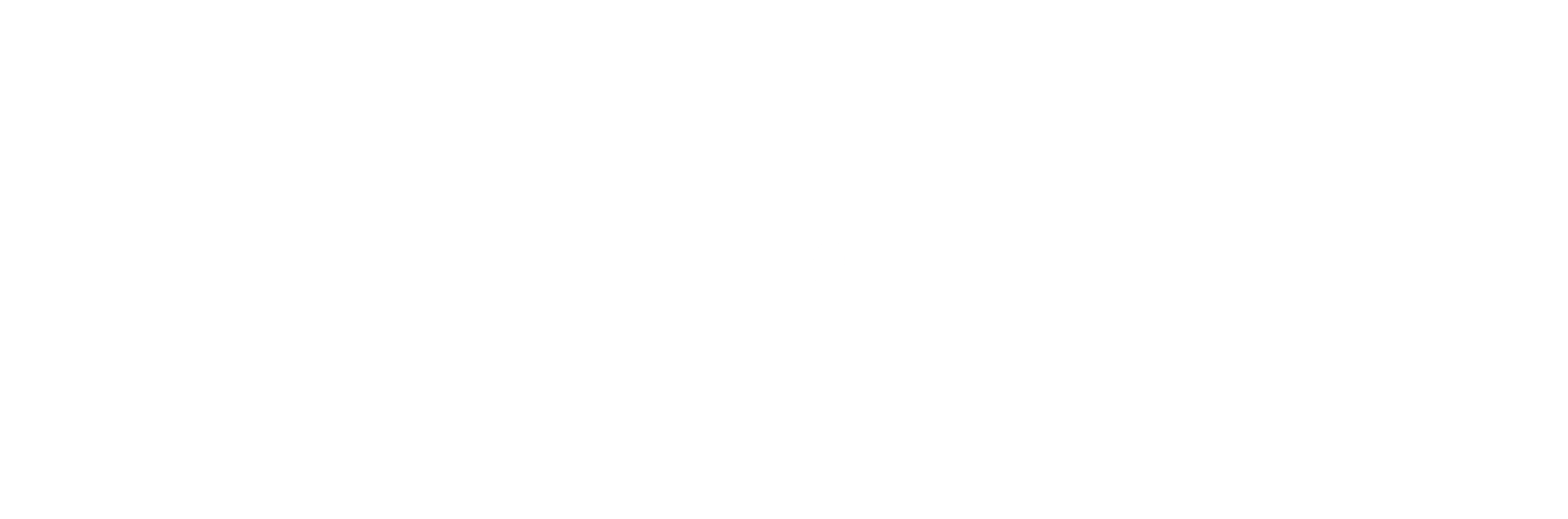 Zip Clinic logo white