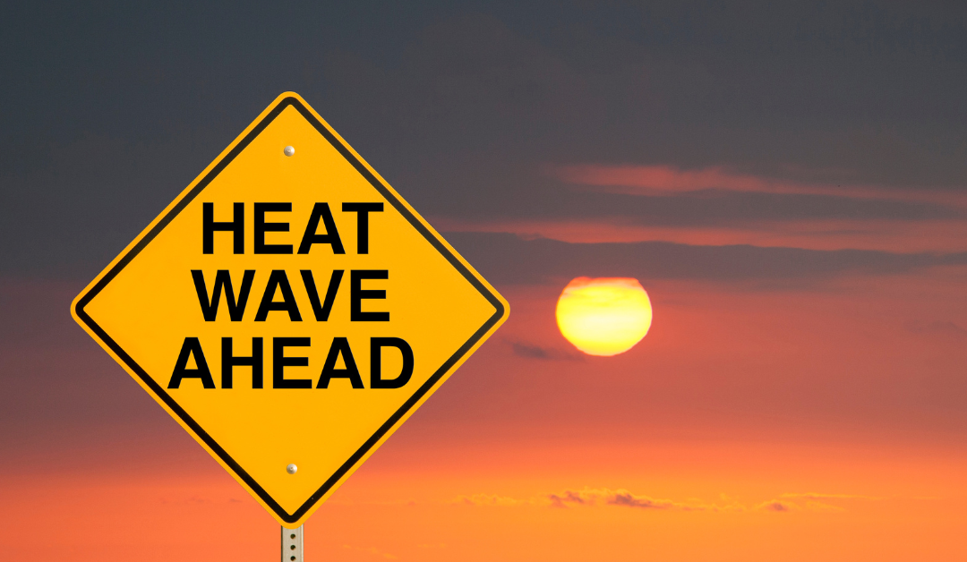 Staying Safe in the Missouri Heat