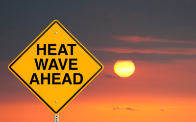 Staying Safe in the Missouri Heat