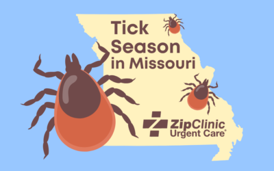 Tick Season in Missouri